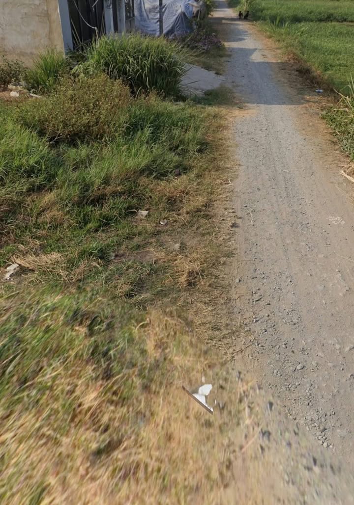 Đất thổ cư 125m² đường Nguyễn Thị Điệp, Hóc Môn - Giá 1.3 tỷ bớt lộc!