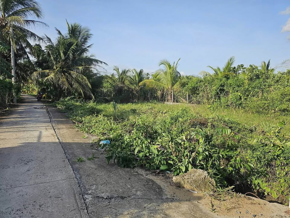 Đất thổ cư Phước Thạnh Tiền Giang 120m² giá 399 triệu - Hướng Tây, pháp lý rõ ràng!