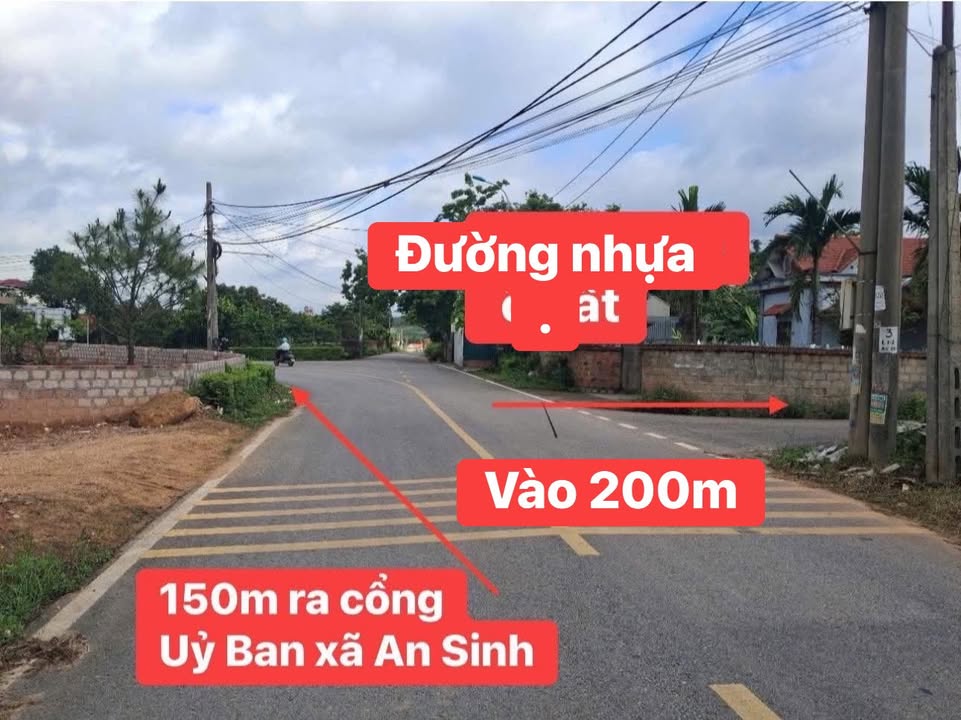 Đất trồng cây lâu năm 886,5m² tại An Sinh, Đông Triều - Giá chỉ 400 triệu!
