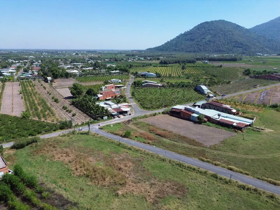 Đất mặt tiền đường 11 Thạnh Tân 1100m² giá 1.5 tỷ - Tiềm năng đầu tư lớn!