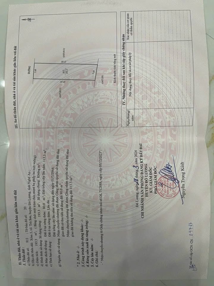 Đất nền Trù Sơn Đô Lương 189m² chỉ 400 triệu - Cơ hội đầu tư hấp dẫn!