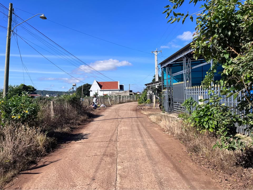 Đất nền xã Tân Hội 549m² giá chỉ 1.78 tỷ - Sổ hồng riêng chính chủ!