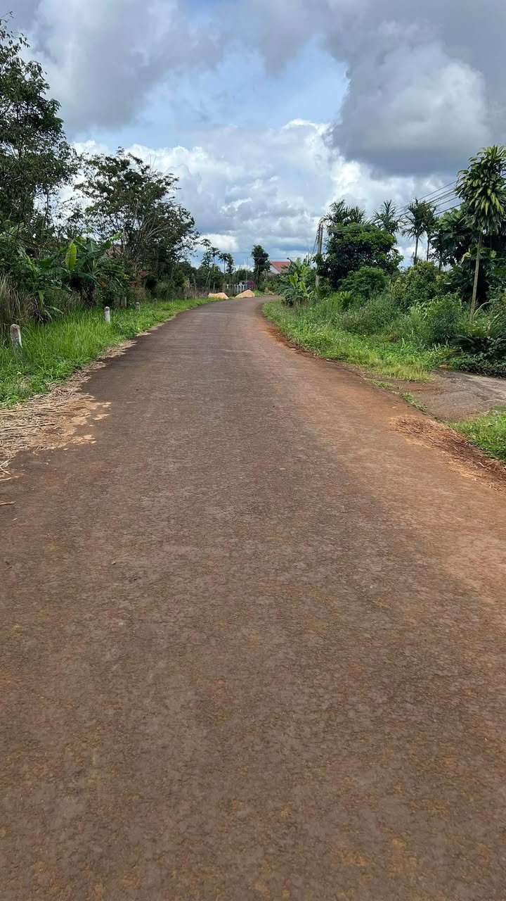 Đất nền 1480m² tại Thuận Hạnh, Đắk Song - Giảm giá chỉ còn 590 triệu!