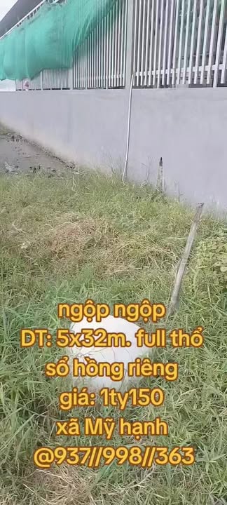 Đất thổ cư tại xã Mỹ Hạnh, Đức Hòa 160m² giá 1.15 tỷ - Cơ hội đầu tư hấp dẫn!