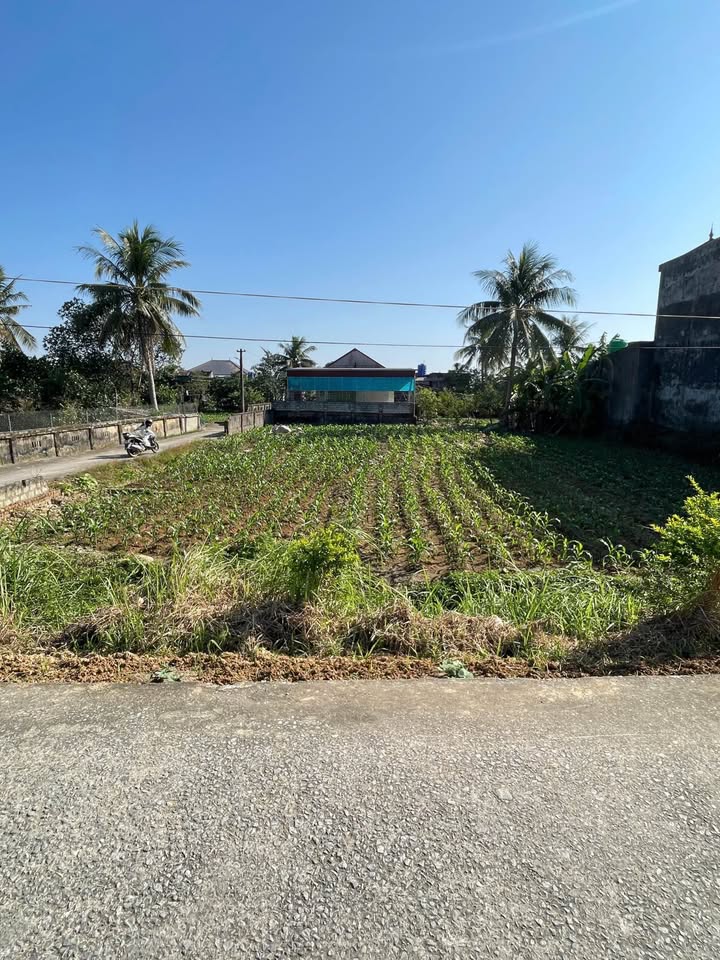 Đất nền mặt đường ô tô tại xã Minh Nghĩa, Nông Cống 147m² - Giá thỏa thuận hấp dẫn!