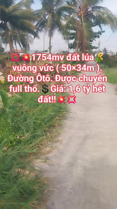 Đất vuông vức 1754m² tại Phú Ngãi Trị, Châu Thành, Long An - Giá chỉ 1.6 tỷ!