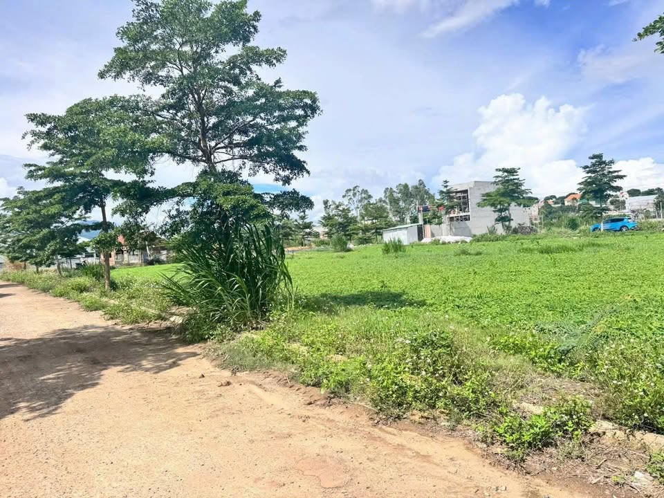 Đất nền Hiệp Thạnh, Đức Trọng, 115m² giá 1.27 tỷ - Đối diện trường lái, thuận tiện xây dựng!