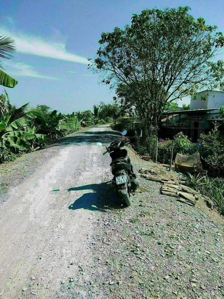 Đất thổ vườn mặt tiền sông Vàm Cỏ Đông 2373m² giá 3.4 tỷ - Đầu tư sinh lời ngay!