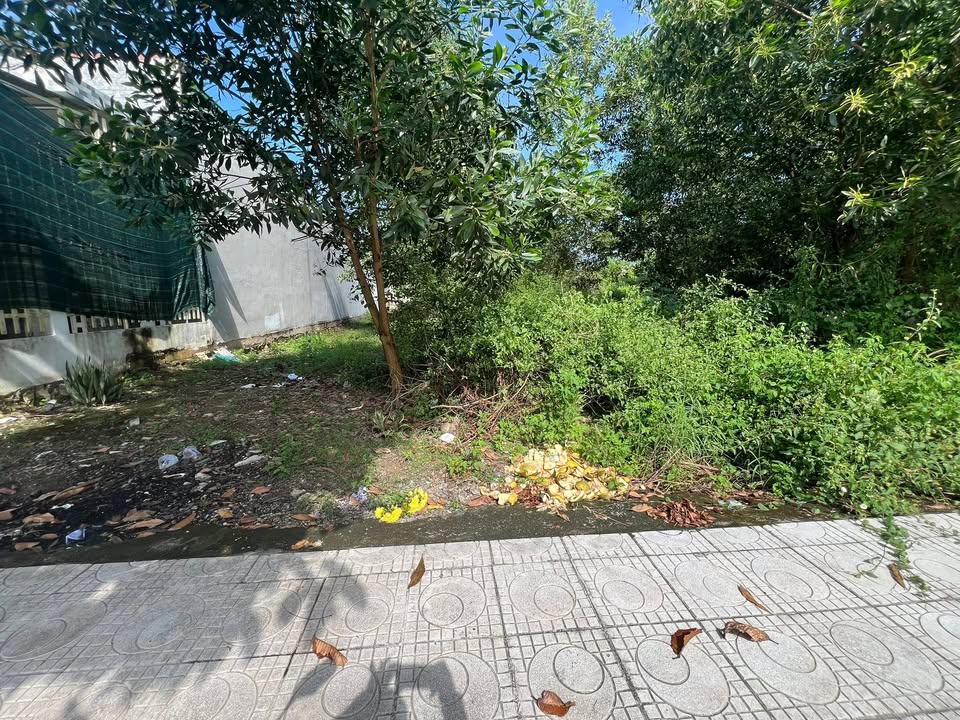 Đất nền TĐC Xã Tân Phú 150m² giá 1.95 tỷ - Mặt tiền đẹp, gần công viên!