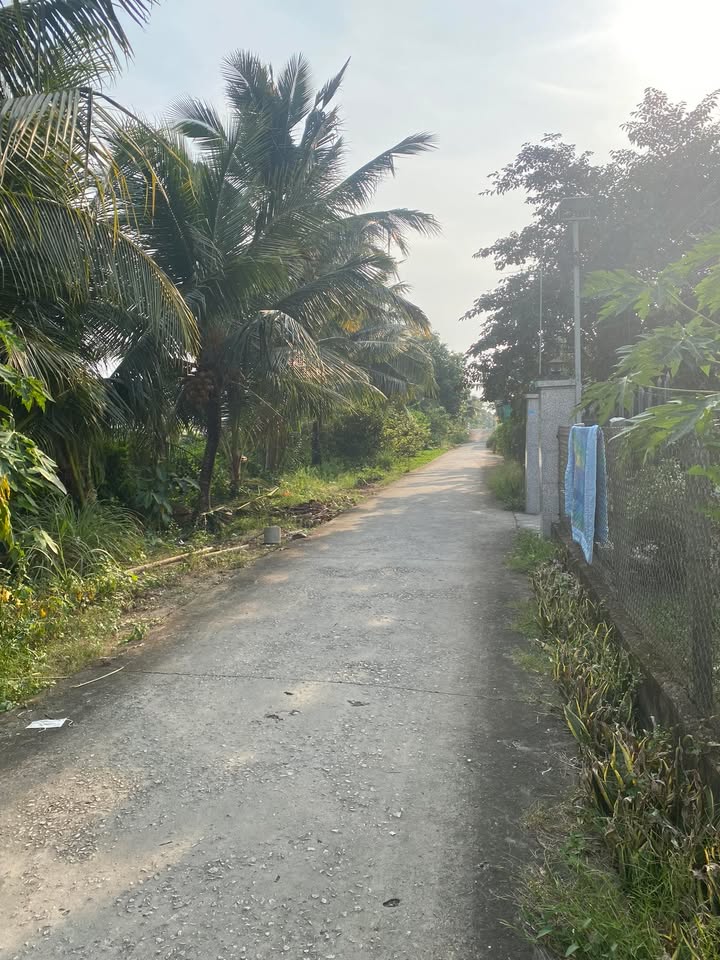 Đất nền Vĩnh Lợi, Vĩnh Thạnh 539m² giá 1.1 tỷ - Đầu tư sinh lời ngay!