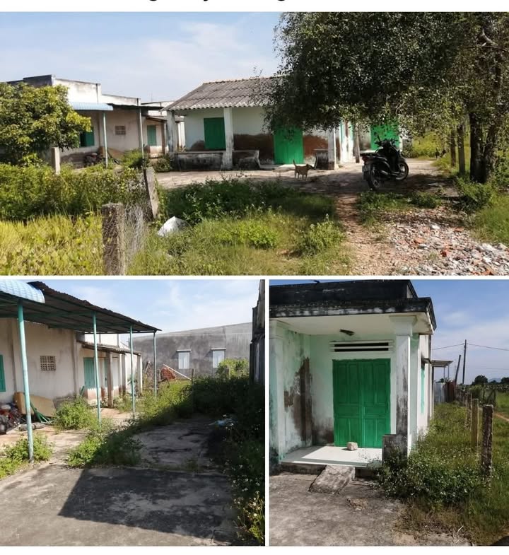 Đất thổ cư 300m² tại thôn Xuân Điền, Hàm Thắng - Giá thỏa thuận, vị trí thuận lợi!