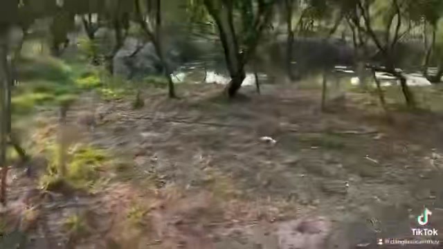 Đất nền Tân Phước Lai Vung 33,000m² giá 420 triệu - Đầu tư sinh lời ngay!