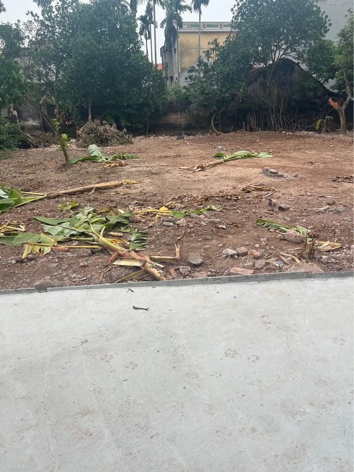 Đất thổ cư 105m² tại Vân Kênh, Châu Giang chỉ 1.7 tỷ - Cơ hội đầu tư hấp dẫn!