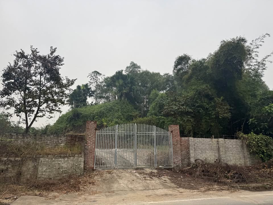 Đất thổ cư 200m² mặt đường 45m tại Văn Phú, Lào Cai - Tiềm năng đầu tư lớn!