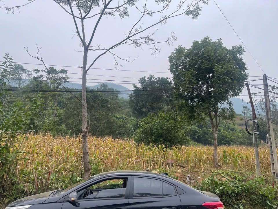 Đất nền Trúc Lâu, Lục Yên 180m² giá 400 triệu - Đầu tư sinh lời ngay!