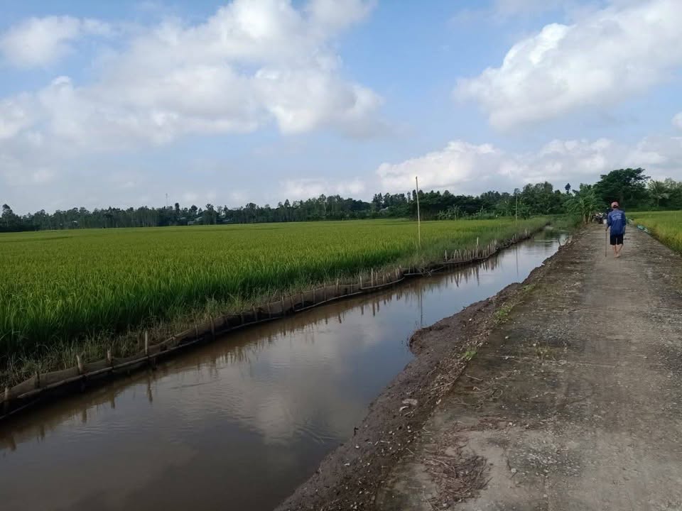 Đất ruộng 8415m² tại Xã Vĩnh Xương, An Giang - Giá chỉ 135 triệu/công, thương lượng tốt!