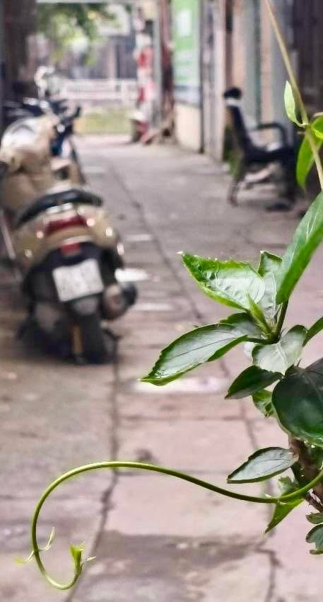 Đất nền KĐT Đại Kim Hoàng Mai 40m² giá 7 tỷ - Vị trí vàng, pháp lý rõ ràng!