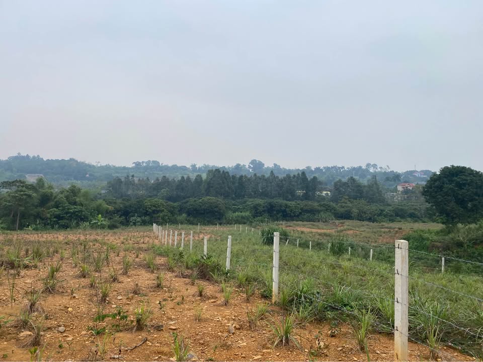 Đất nền nghỉ dưỡng 2000m² tại xóm Đất Đỏ, Liên Sơn - Giá 5 tỷ, phong thủy tuyệt vời!