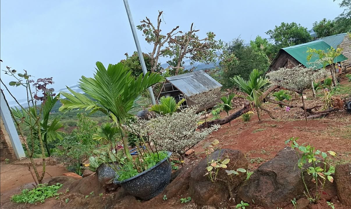 Đất Farm 1.2ha tại Đồng Nai Thượng, giá thỏa thuận - Đầu tư sinh lời ngay!