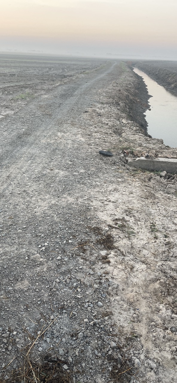 Đất ruộng lúa 3 vụ Tân Thành B, Đồng Tháp 15552m² giá 2.333 tỷ - Đường đá mi ô tô vào tận nơi!