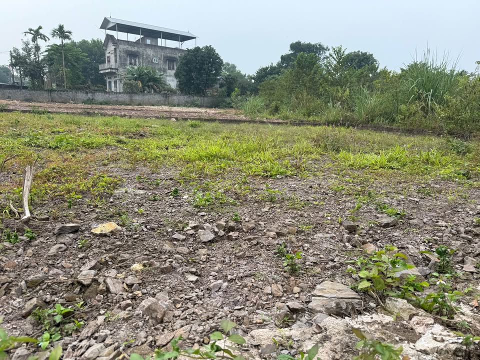 Đất nền Nhuận Trạch 879m² giá 2.553 tỷ - Sổ hồng riêng, công chứng ngay!