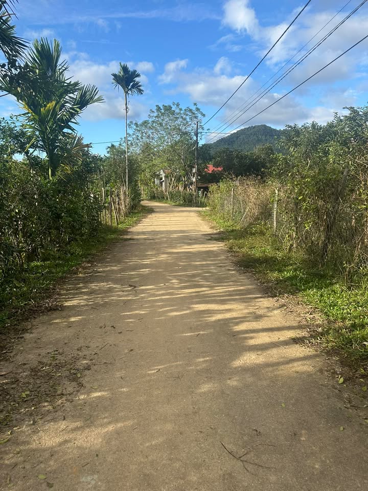 Đất nền xã Ba Đông Giang 1200m² giá 1 tỷ - Đầu tư sinh lời lý tưởng!