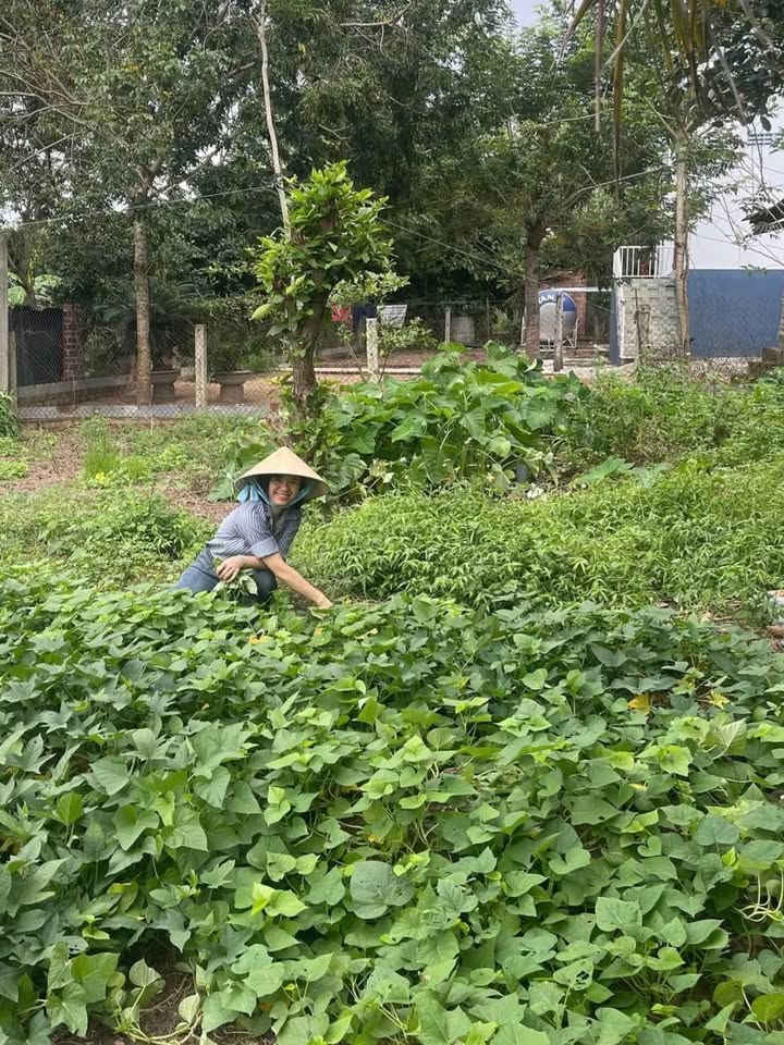 Đất nền chính chủ phường Chi Lăng, Pleiku 300m² giá 1 tỷ - Cơ hội đầu tư hấp dẫn!