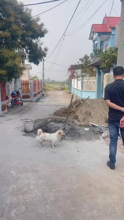 Đất nền Phú Hòa, Lương Tài 93m² giá 1.6 tỷ - Đường thông ô tô đỗ cửa!