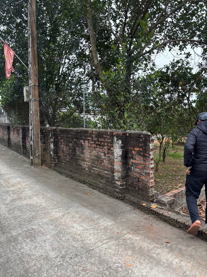 Lô đất Tiên Phong Ba Vì 160m² giá thỏa thuận - Đất ở xây nhà vườn tuyệt đẹp!