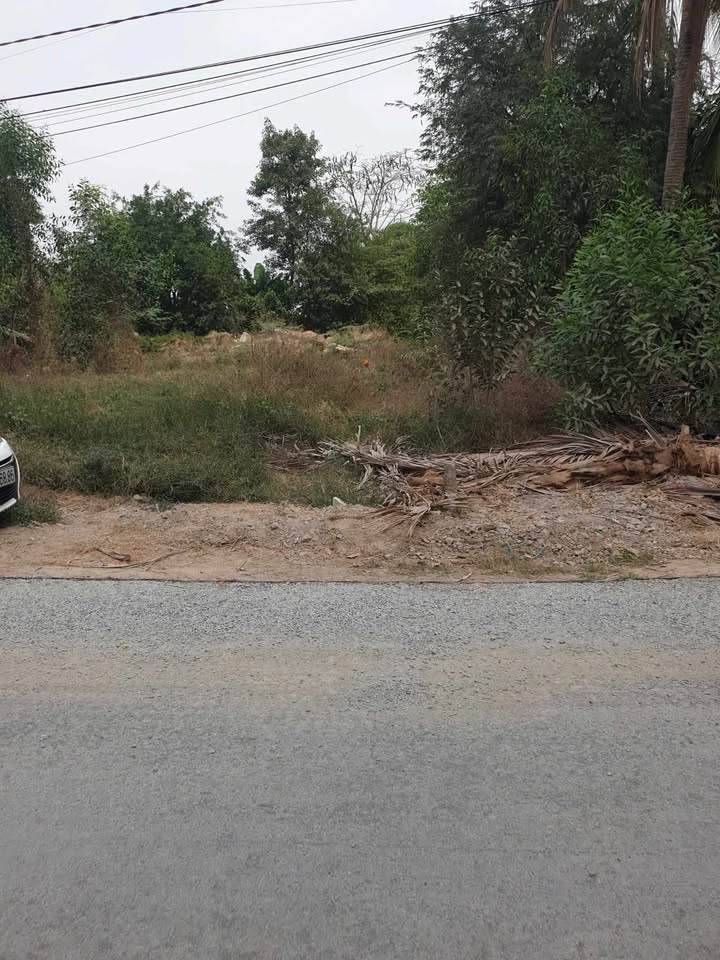 Đất nền 155m² mặt tiền đường Đá Xanh, xã Thạnh Trị, giá chỉ 390 triệu - Đầu tư sinh lời ngay!