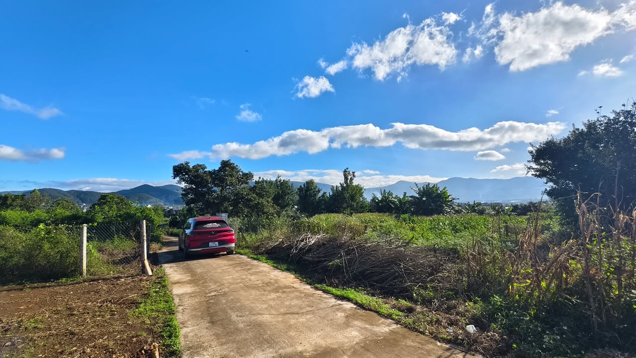 Đất nền Nam Ban, Lâm Hà 100m² giá 1.15 tỷ - Đầu tư sinh lời nhanh!