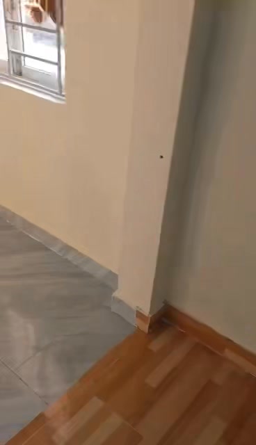 Nhà cho thuê tại Nam Đồ Sơn 36m² - Không gian sống lý tưởng!