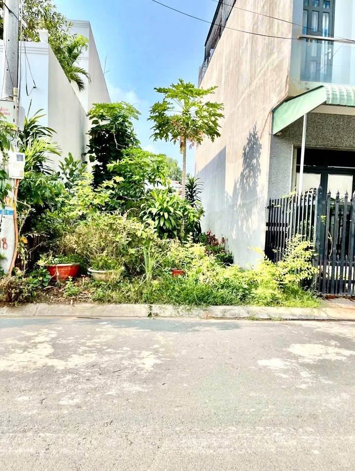 Đất nền Khu Sao Mai, Bình Khánh, Long Xuyên 71m² giá 1 tỷ - Cơ hội đầu tư hấp dẫn!