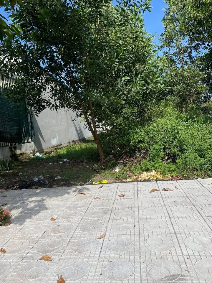 Đất nền Tân Phú, Thủ Đức 150m² giá 1.95 tỷ - Mặt tiền thoáng đẹp, gần công viên!