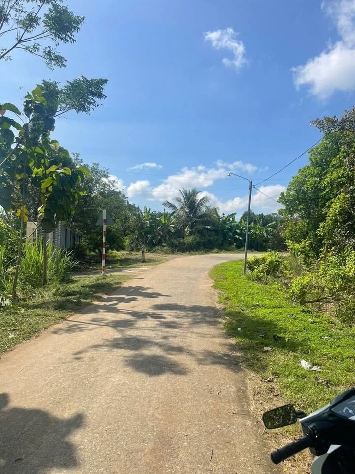 3 Lô đất sào liền kề tại xã Phú Hòa, Đồng Nai - Giá chỉ 650 triệu/lô!