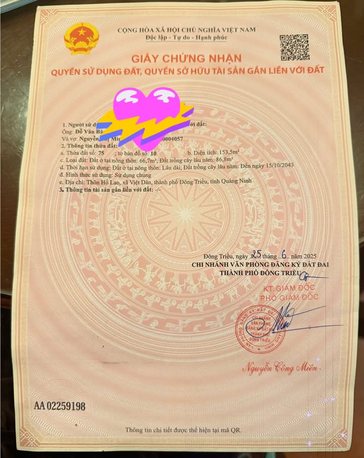 Đất nền thôn Hổ Lao, xã Việt Dân, 153.5m² giá 400 triệu - Sổ đỏ chính chủ!