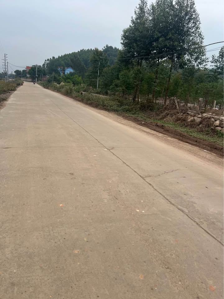 Đất nền Bắc Lũng, Lục Nam, Bắc Giang 125m² giá chỉ 1 tỷ - Cơ hội đầu tư hấp dẫn!