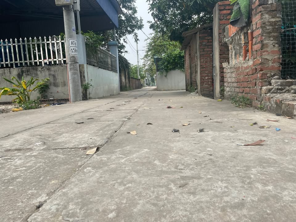 Đất nền 84m² tại Ấp Tre, Mê Linh giá 3.36 tỷ - Khuôn thửa đẹp, đường ô tô tránh!