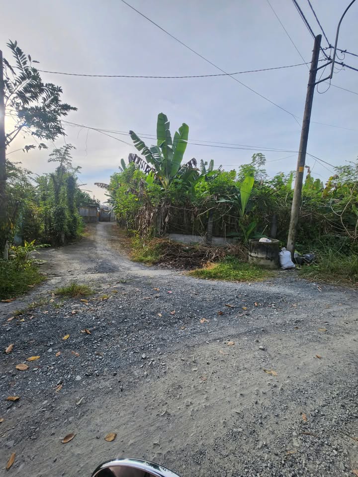 Đất thổ cư 300m² tại Bến Cỏ, Phú Hòa Đông, Củ Chi 800m² giá 4.2 tỷ - Cơ hội đầu tư hấp dẫn!