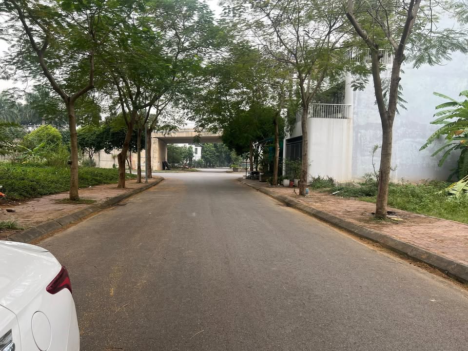 Đất dự án KĐT Nam Đầm Vạc, Vĩnh Yên 104m² giá 3,9 tỷ - Sổ đỏ chính chủ