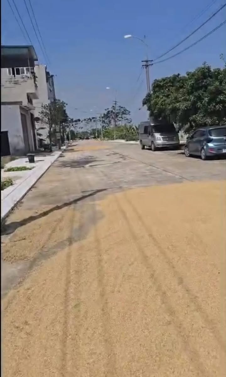 Đất nền Thanh Lãng, Bình Xuyên 120m² giá 3.4 tỷ - Đường rộng, tiện ích đầy đủ!