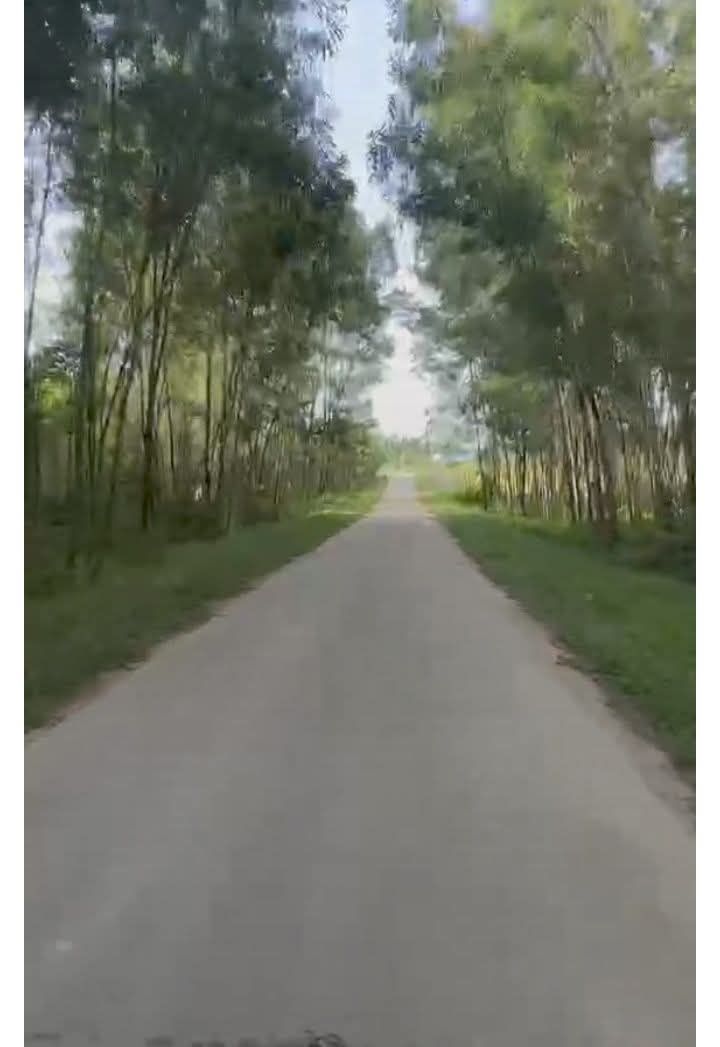 Đất rừng Kim Long, Huế 2ha giá 6.5 tỷ - Dễ dàng sang tên chính chủ!