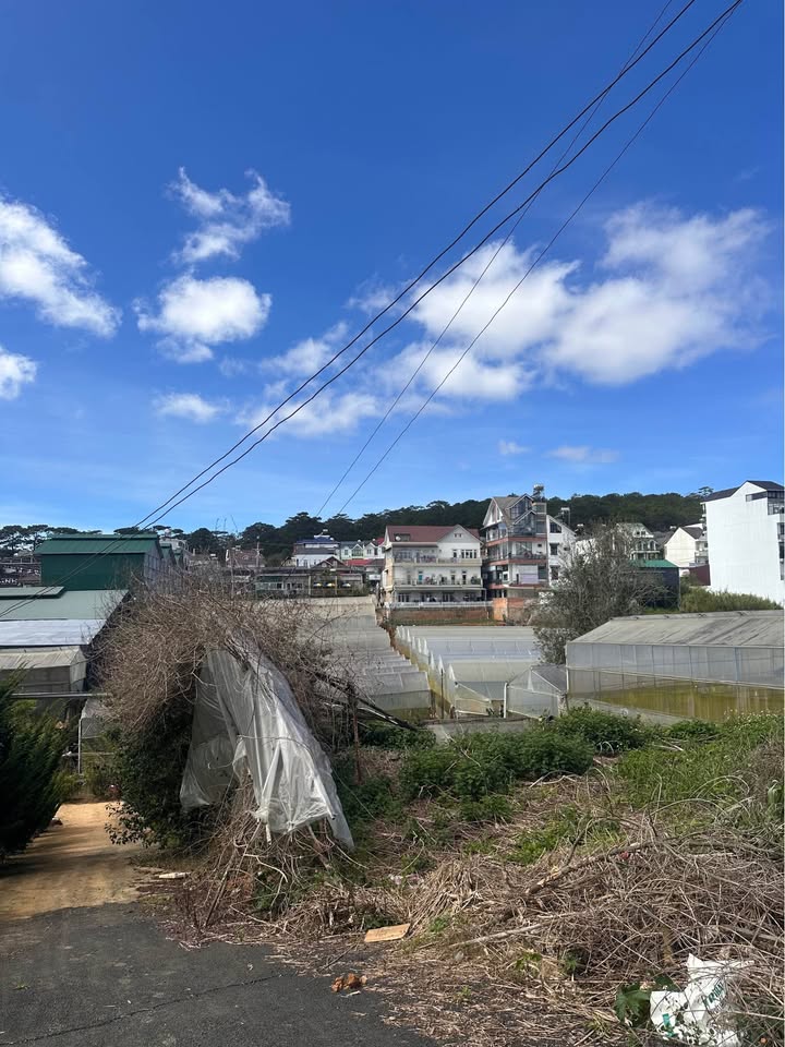 Đất thổ cư 337m² tại Thái Phiên, Đà Lạt - Giá chỉ 9 tỷ, thương lượng!