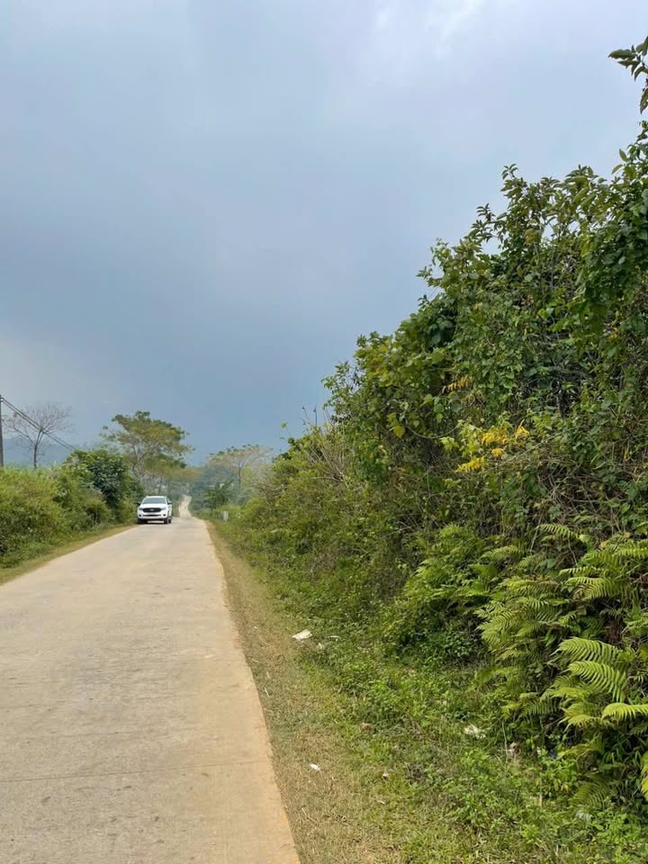 Đất Farm Phú Vinh Tân Lạc 8000m² giá 1.23 tỷ - Cơ hội đầu tư hấp dẫn!