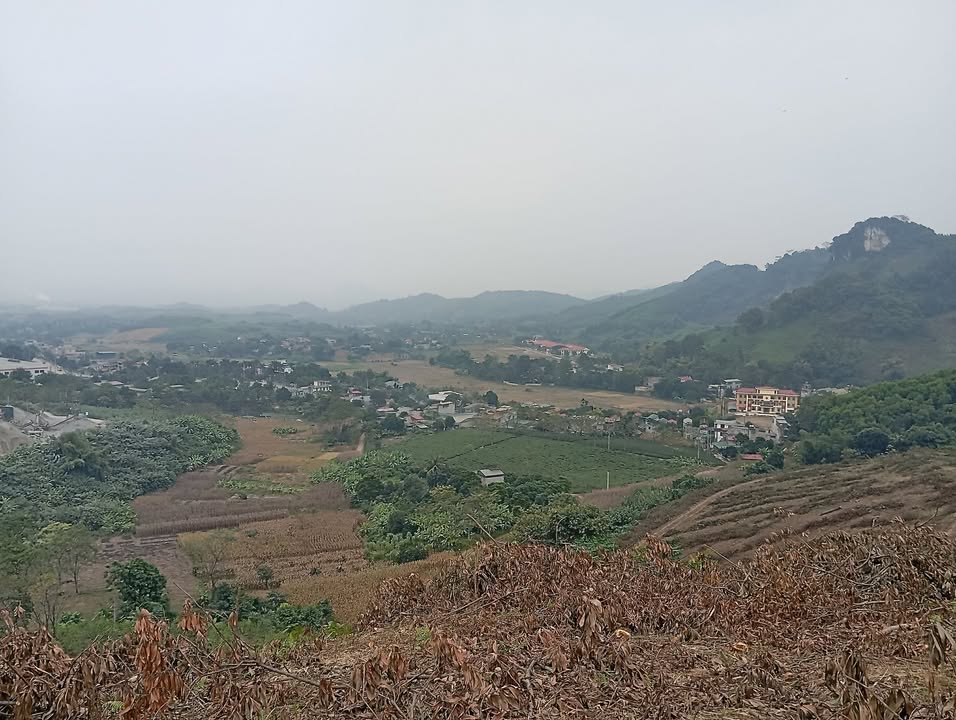 Đất nền Đội Cấn Tuyên Quang 125m² giá chỉ 100 triệu - Đất thổ cư chính chủ!