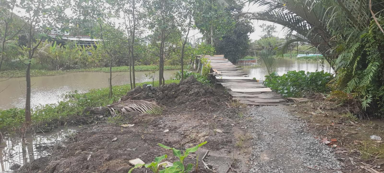 Đất thổ cư 120m² tại xã Giục Tượng, huyện Châu Thành - Giá chỉ 450 triệu VND