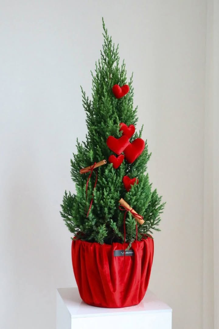 Cho thuê tòa căn hộ 324m² tại Ngũ Hành Sơn, Đà Nẵng - Vị trí đắc địa khu phố Tây