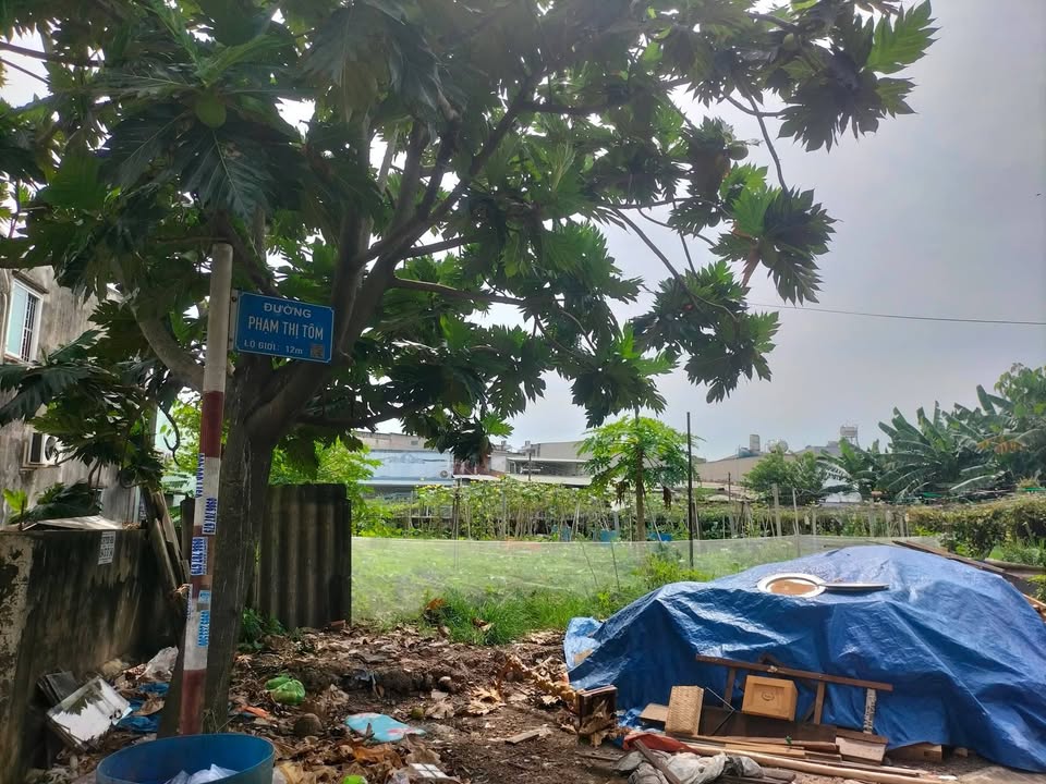 Đất thổ cư Đông Thạnh Hóc Môn 324m² giá 9 tỷ - Sổ hồng riêng, mặt tiền đường!