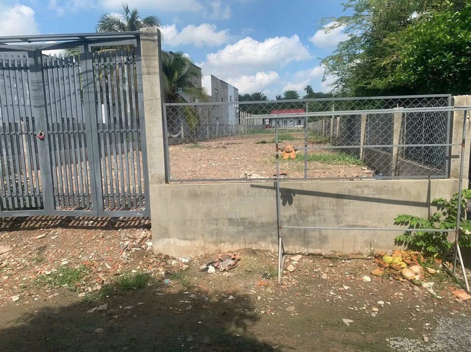 Đất nền thổ cư Nhị Bình 1125m² giá 12.5 tỷ - Đầu tư sinh lời cao!