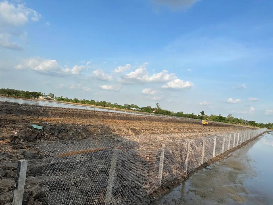 Đất vườn 7.381m² tại Mỹ Hòa - Cơ hội đầu tư sinh lời